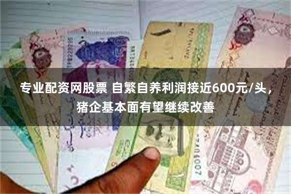 专业配资网股票 自繁自养利润接近600元/头，猪企基本面有望继续改善
