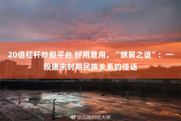 20倍杠杆炒股平台 好用管用，“甥舅之谊”：一段唐宋时期民族关系的佳话