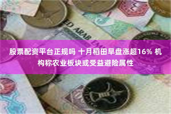 股票配资平台正规吗 十月稻田早盘涨超16% 机构称农业板块或受益避险属性