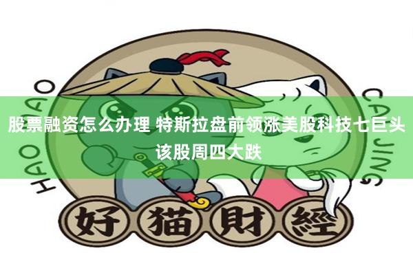 股票融资怎么办理 特斯拉盘前领涨美股科技七巨头 该股周四大跌