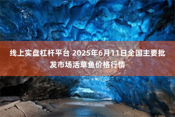 线上实盘杠杆平台 2025年6月11日全国主要批发市场活草鱼价格行情
