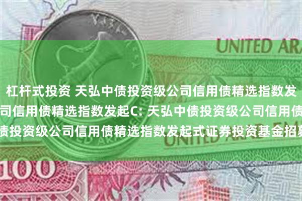 杠杆式投资 天弘中债投资级公司信用债精选指数发起A,天弘中债投资级公司信用债精选指数发起C: 天弘中债投资级公司信用债精选指数发起式证券投资基金招募说明书