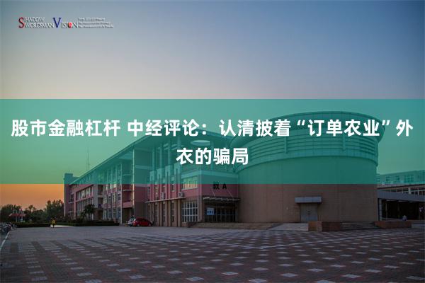 股市金融杠杆 中经评论：认清披着“订单农业”外衣的骗局