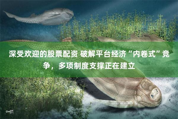 深受欢迎的股票配资 破解平台经济“内卷式”竞争，多项制度支撑正在建立