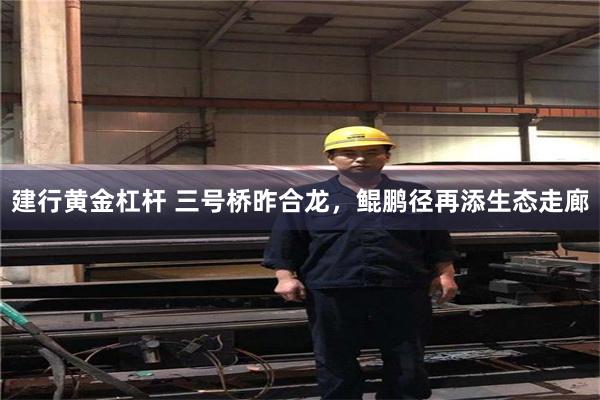 建行黄金杠杆 三号桥昨合龙，鲲鹏径再添生态走廊