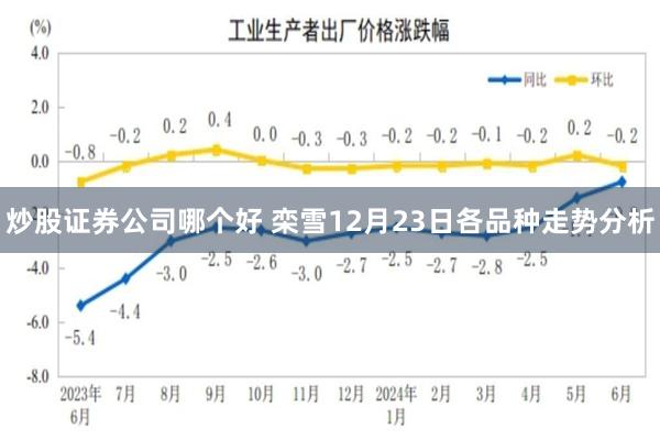 炒股证券公司哪个好 栾雪12月23日各品种走势分析